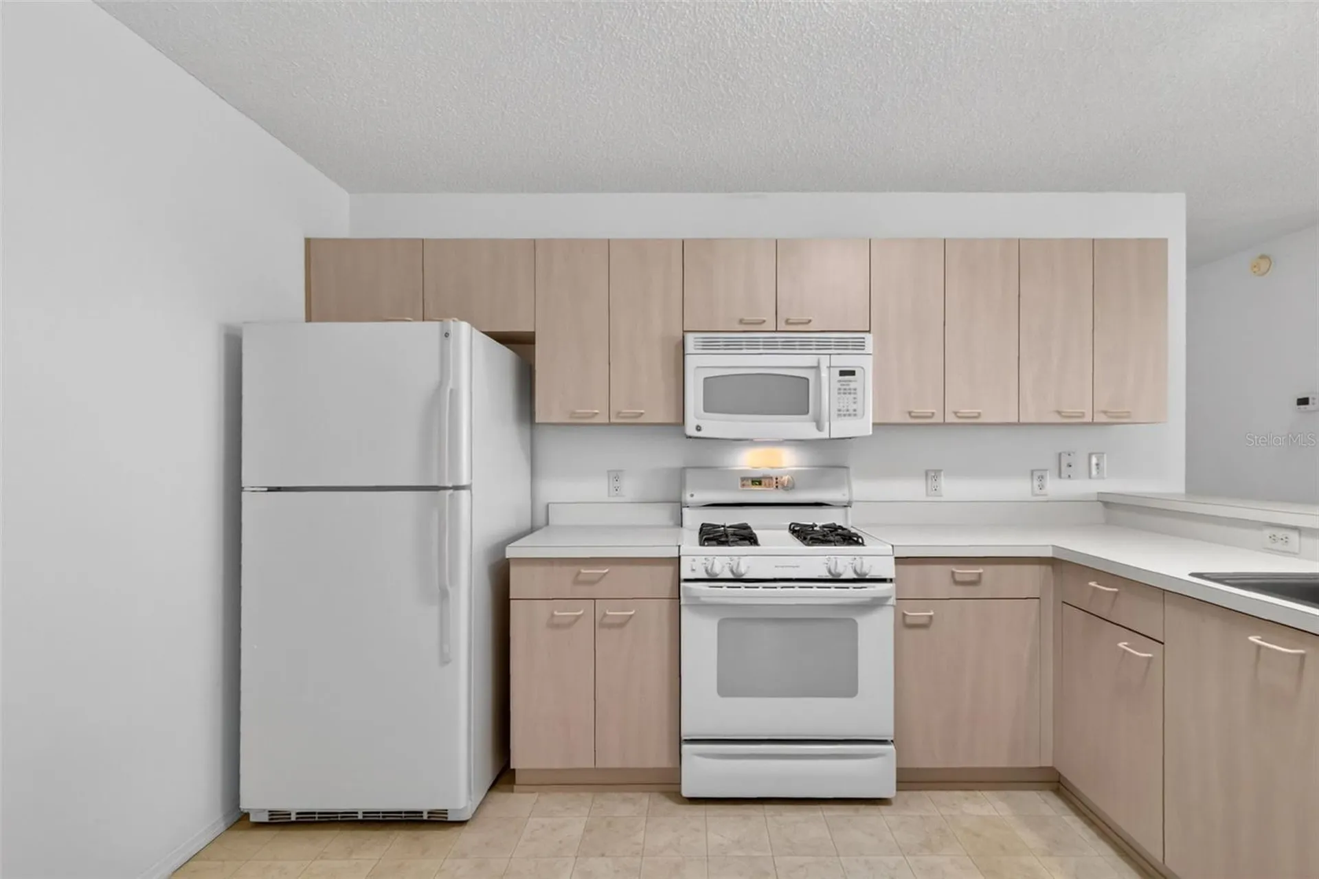 17436 SE 81st Newberry Court The Villages FL 32162