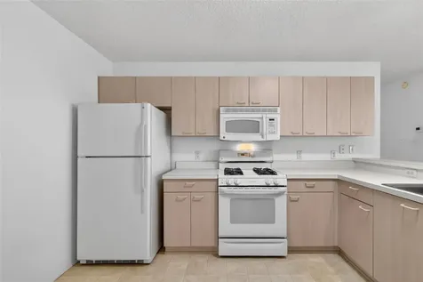 17436 SE 81st Newberry Court The Villages FL 32162