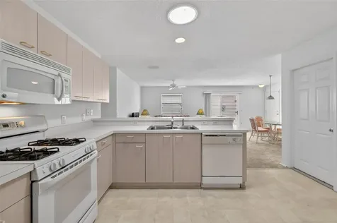 17436 SE 81st Newberry Court The Villages FL 32162