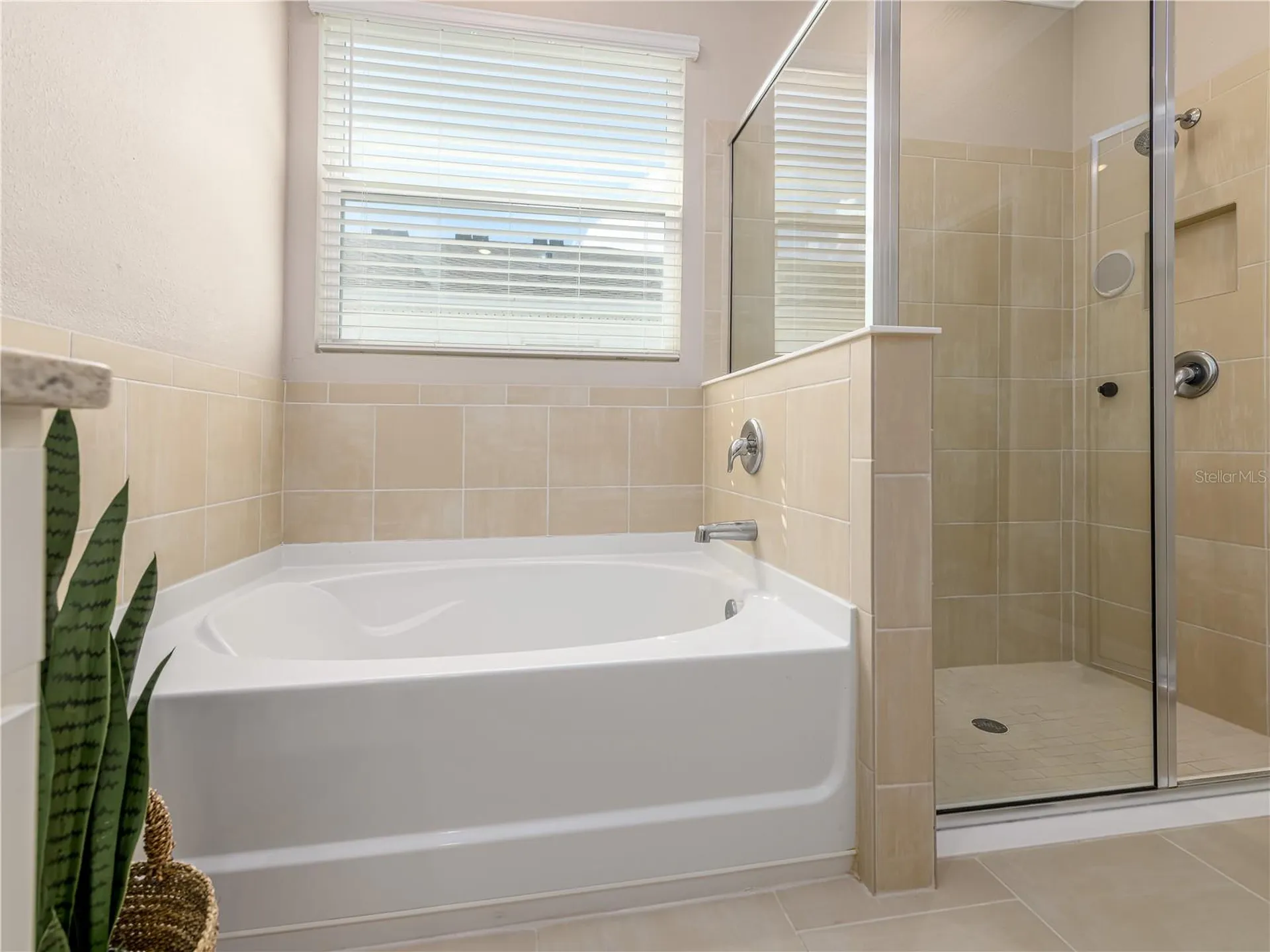 35820 Iron Redding Court Zephyrhills FL 33541