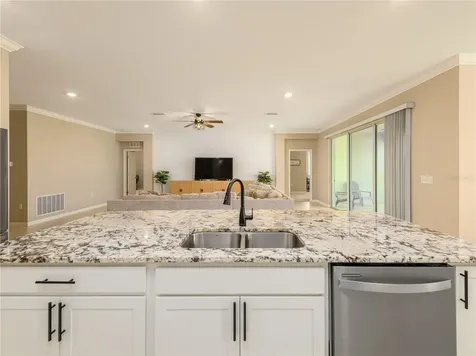 35820 Iron Redding Court Zephyrhills FL 33541