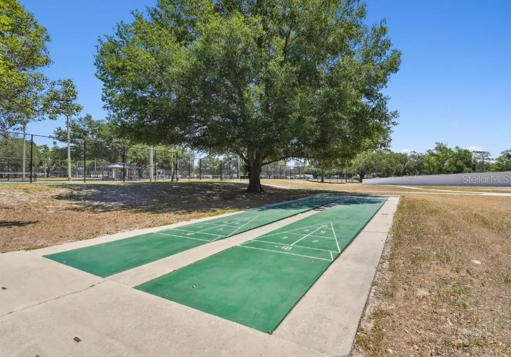 23223 Club Villas Drive Land O Lakes FL 34639