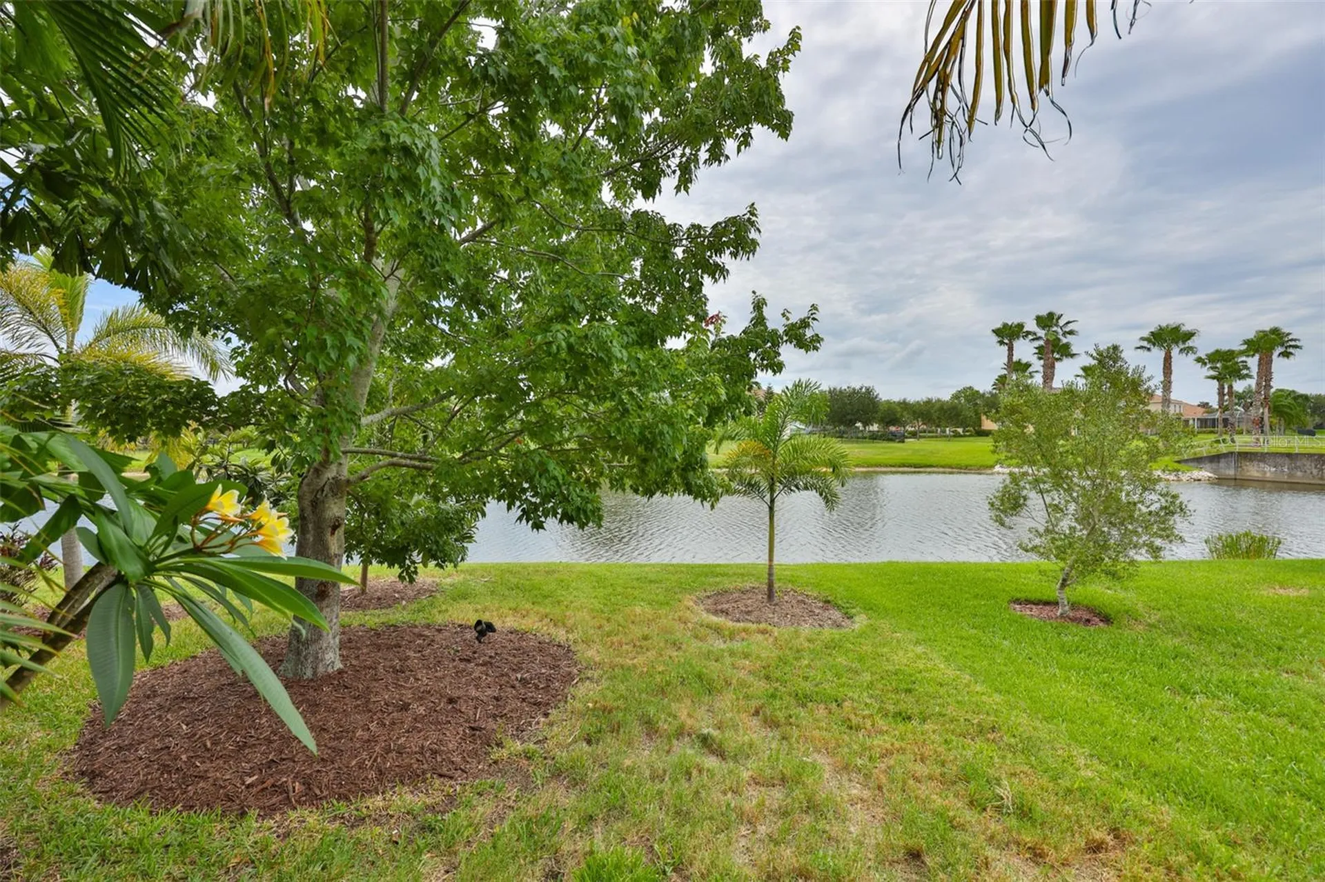 5305 Moon Shell Drive Apollo Beach FL 33572