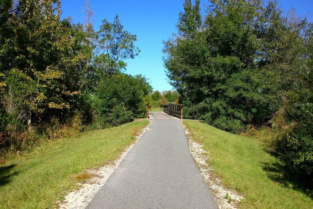 10093 Campanula Court Land O Lakes FL 34637