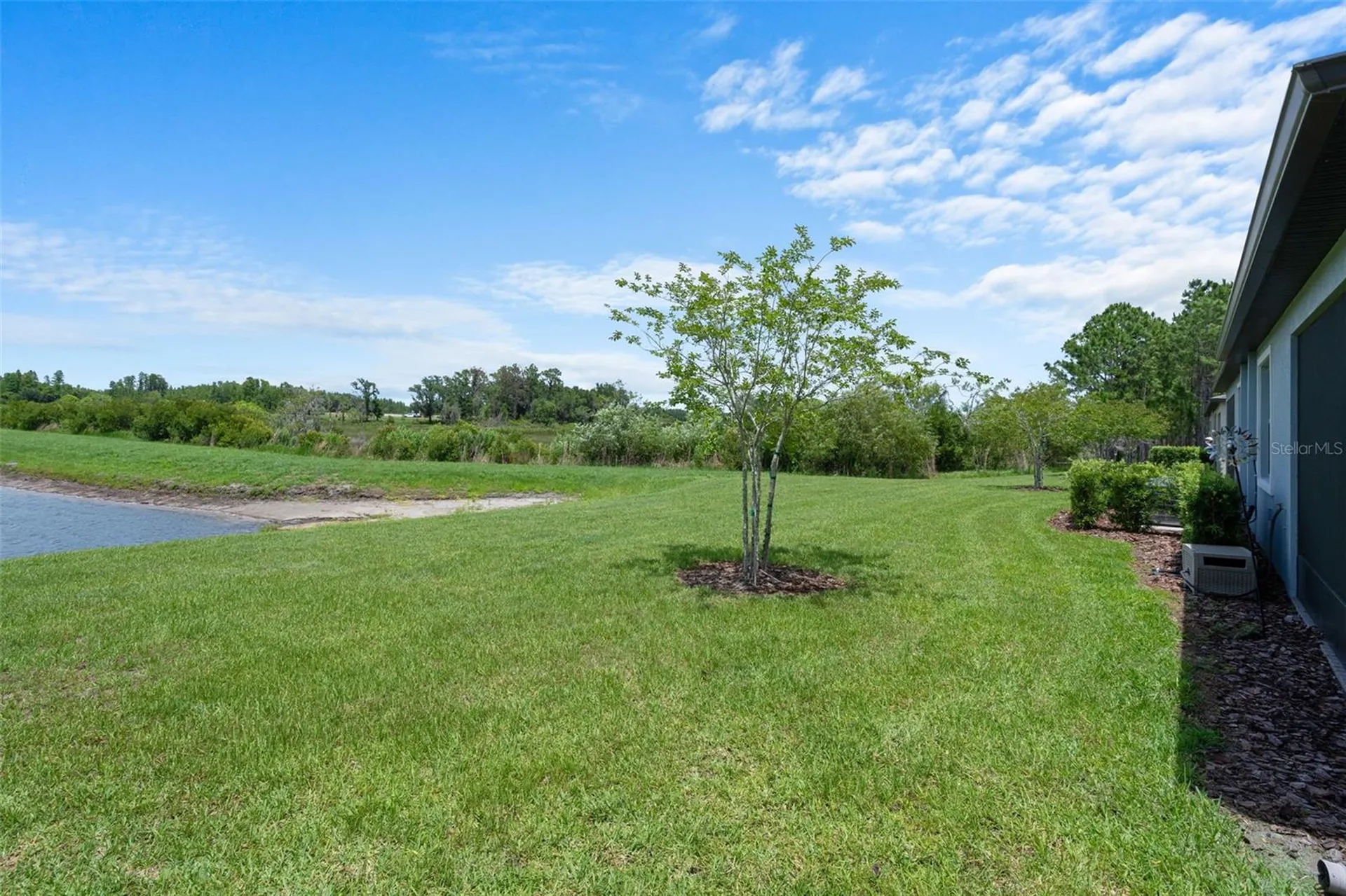10093 Campanula Court Land O Lakes FL 34637