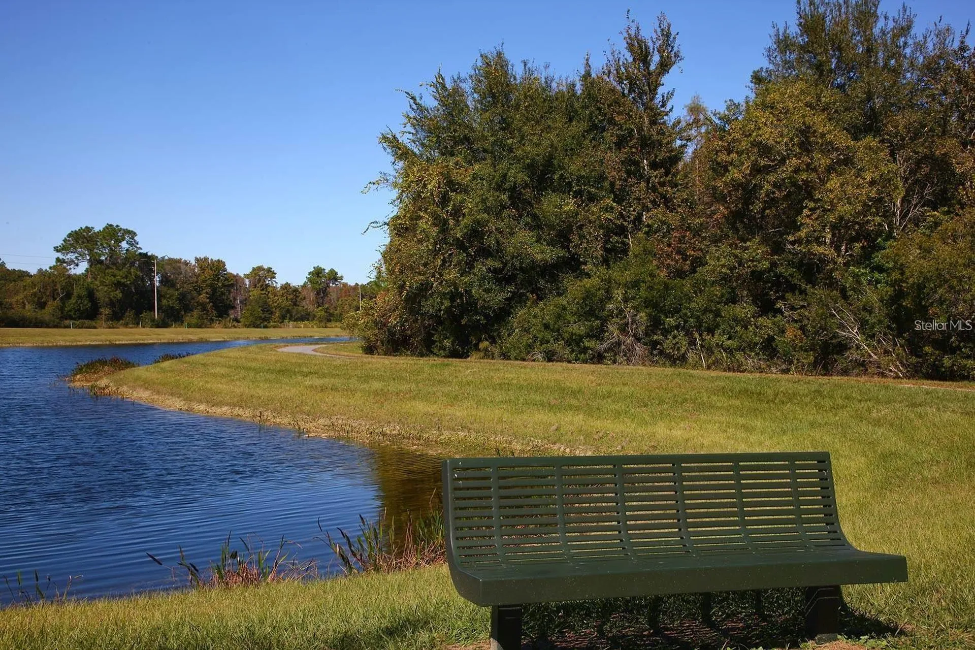 10093 Campanula Court Land O Lakes FL 34637