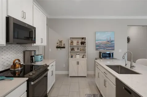 10093 Campanula Court Land O Lakes FL 34637