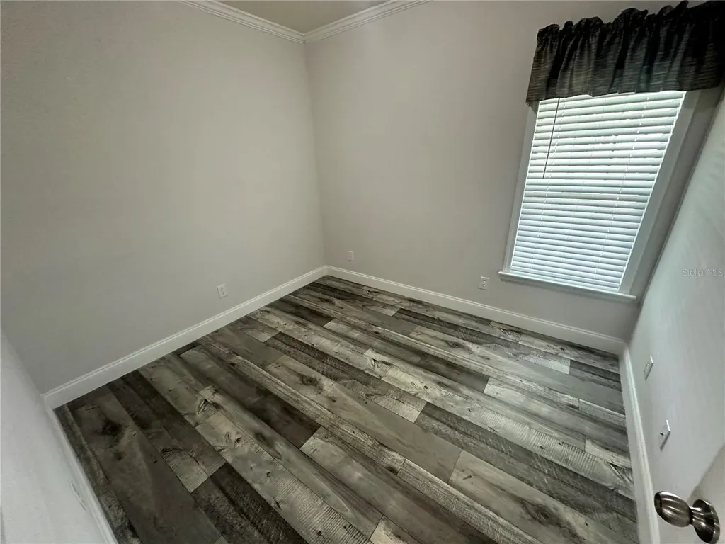 34652 Blue Starling Street Zephyrhills FL 33541