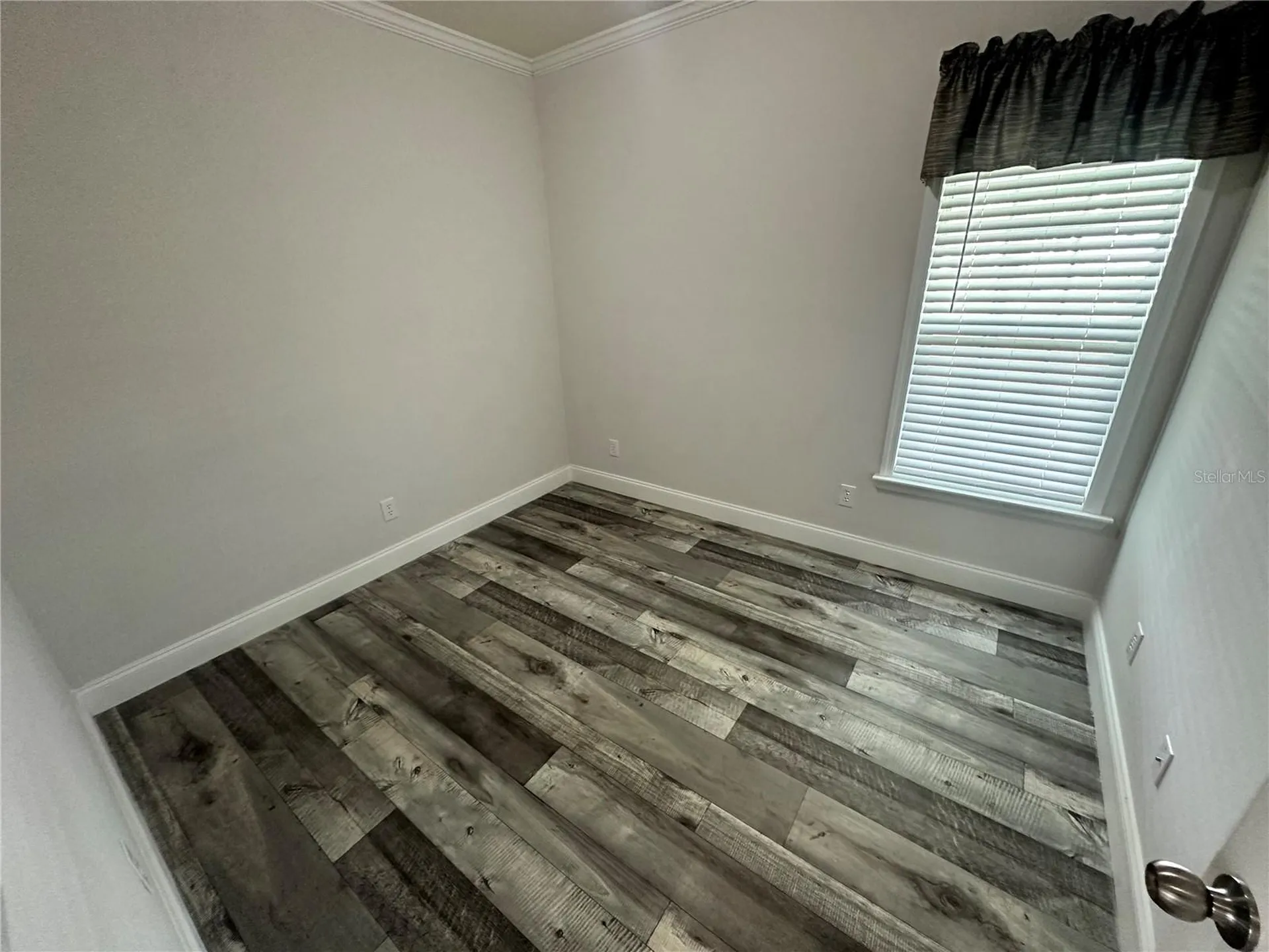 34652 Blue Starling Street Zephyrhills FL 33541