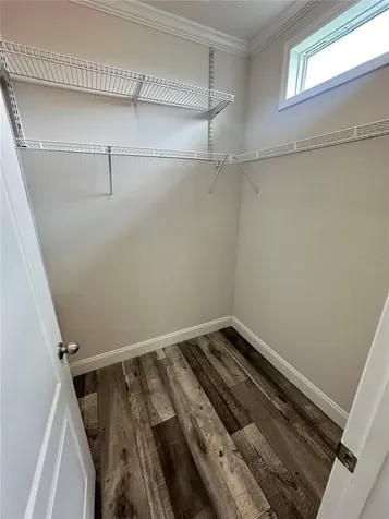 34652 Blue Starling Street Zephyrhills FL 33541