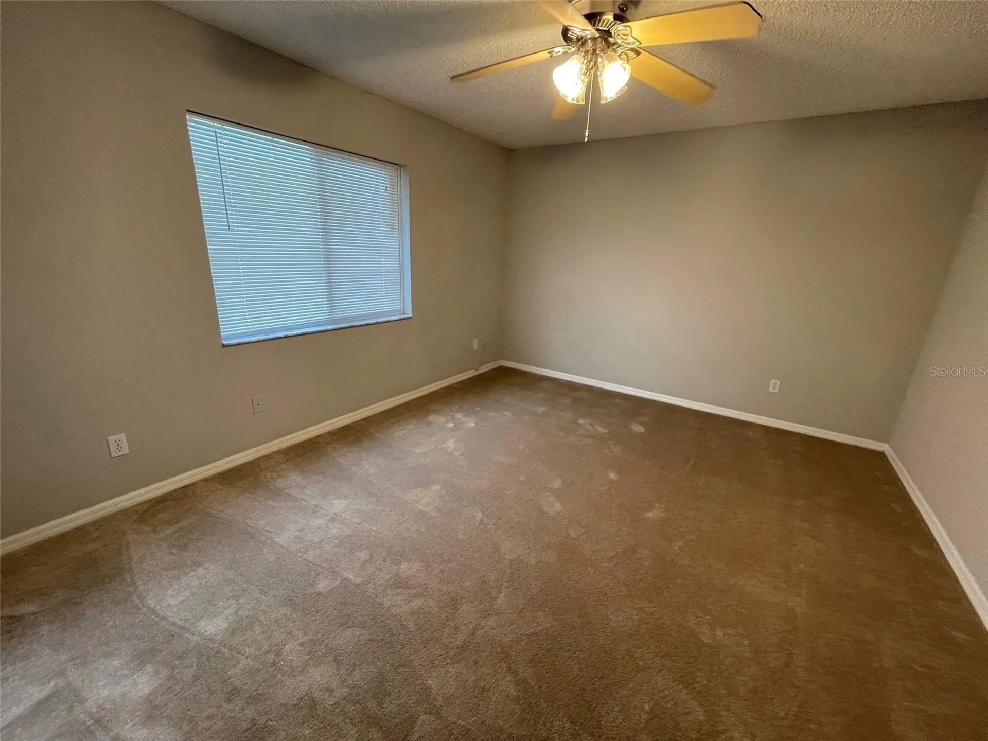 12115 Feldwood Creek Lane Riverview FL 33579