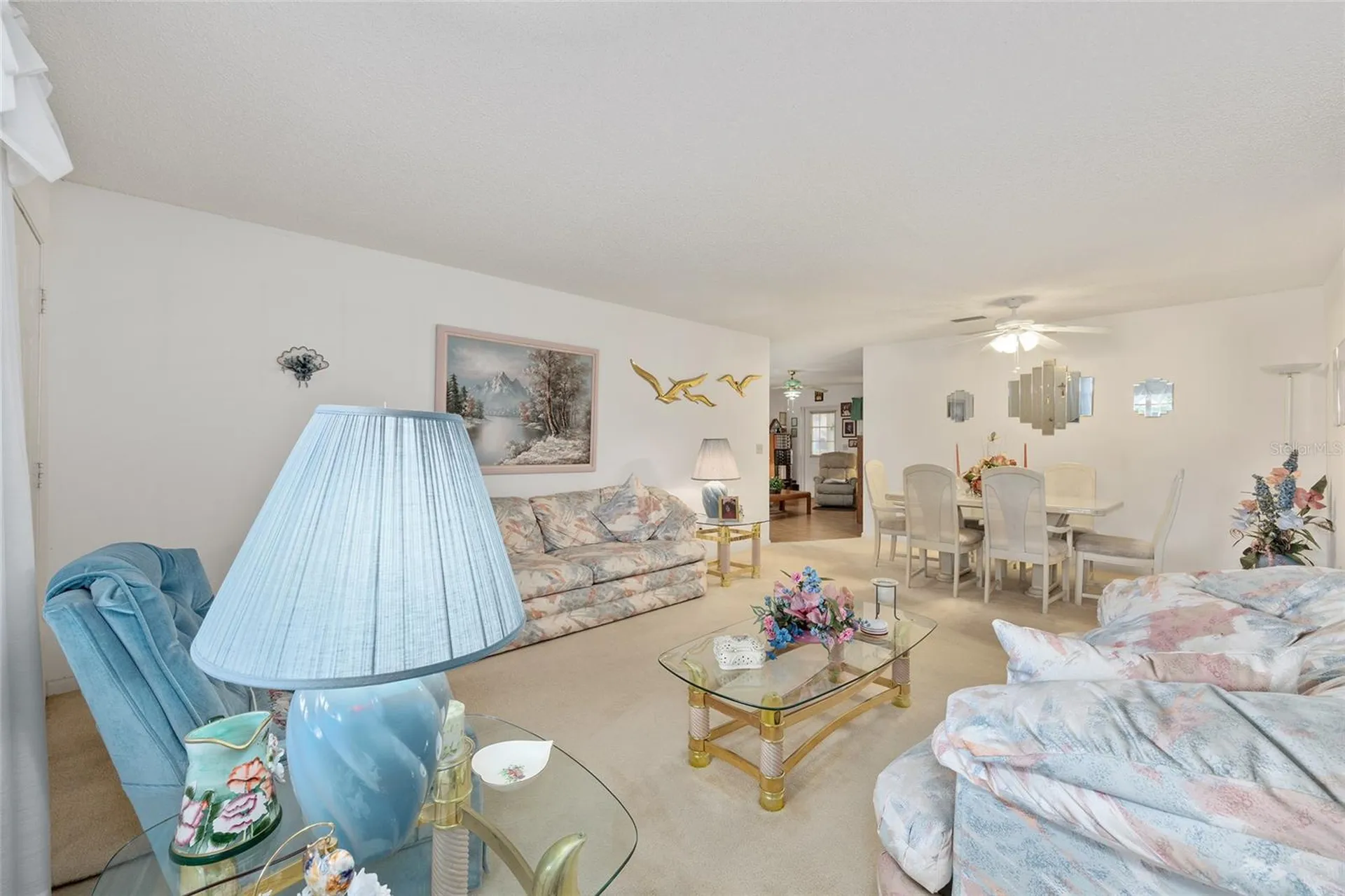 8796 SW 91st Street Ocala FL 34481