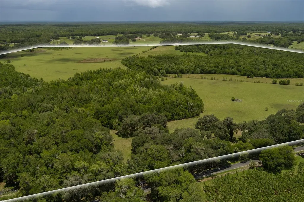9504 NW Highway 320 Micanopy FL 32667