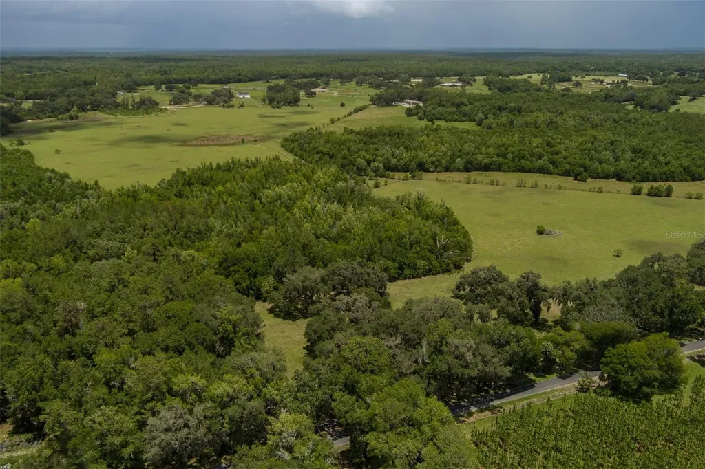 9504 NW Highway 320 Micanopy FL 32667