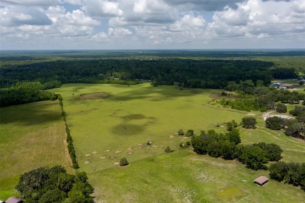 9504 NW Highway 320 Micanopy FL 32667