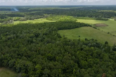 9504 NW Highway 320 Micanopy FL 32667