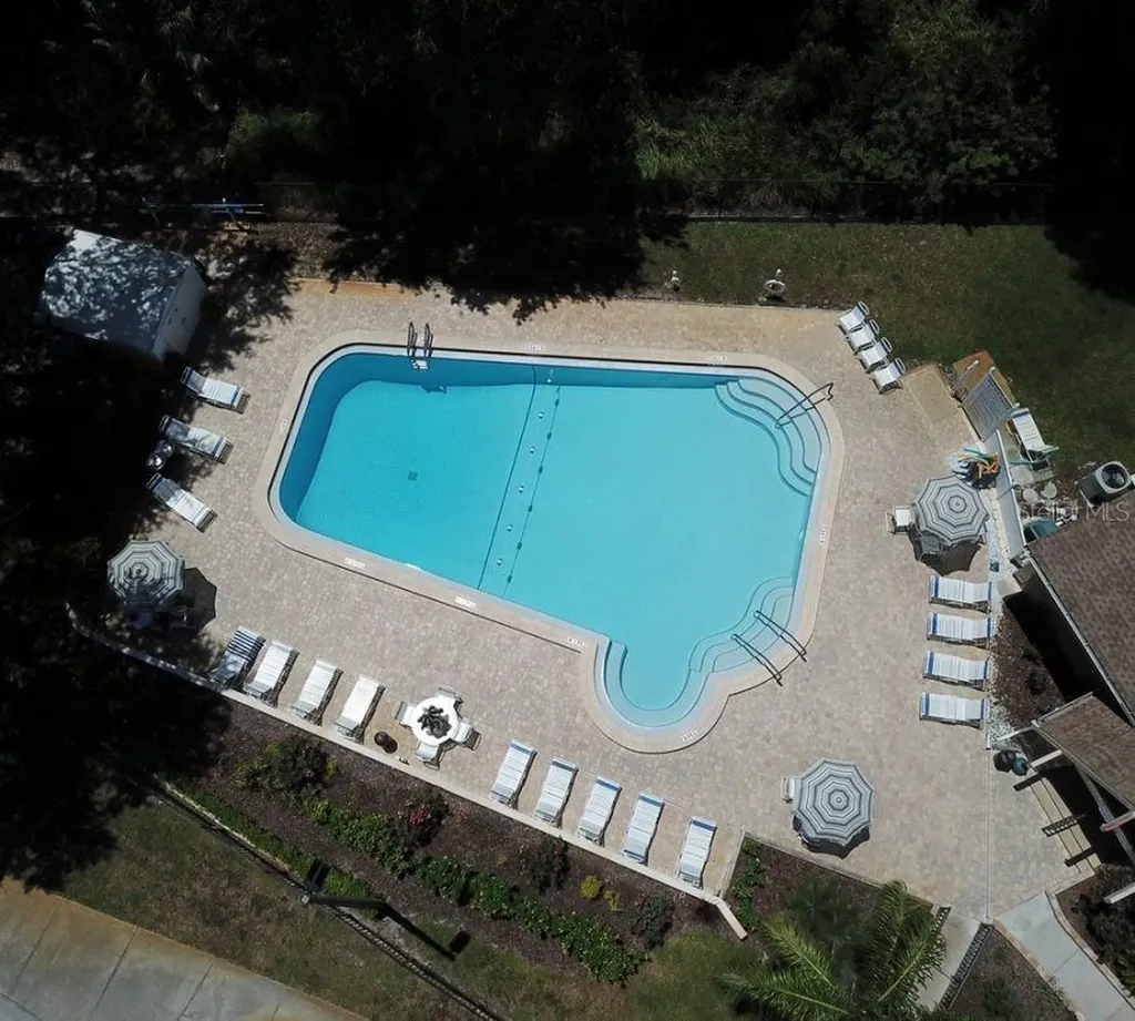 3439 Maclaren Drive Palm Harbor FL 34684