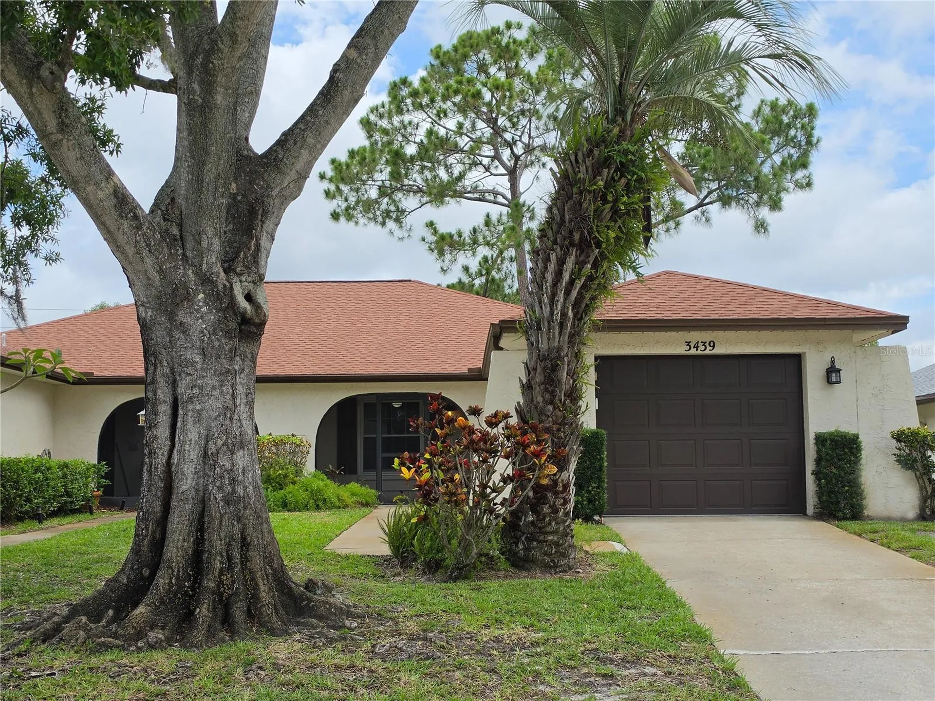 3439 Maclaren Drive Palm Harbor FL 34684