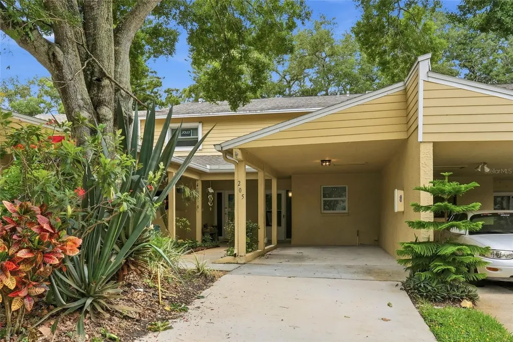 205 Somerset Lane Palm Harbor FL 34684