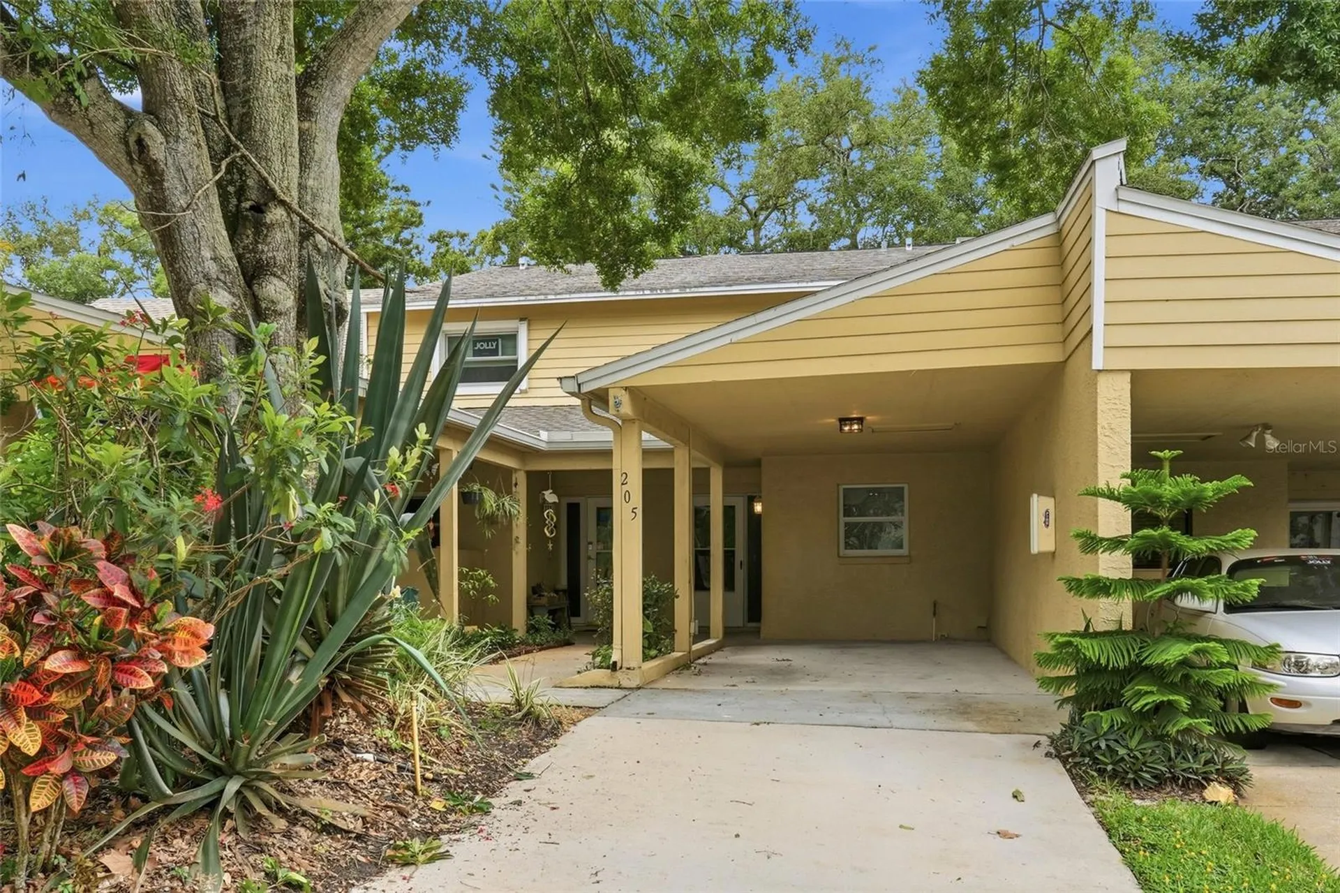 205 Somerset Lane Palm Harbor FL 34684