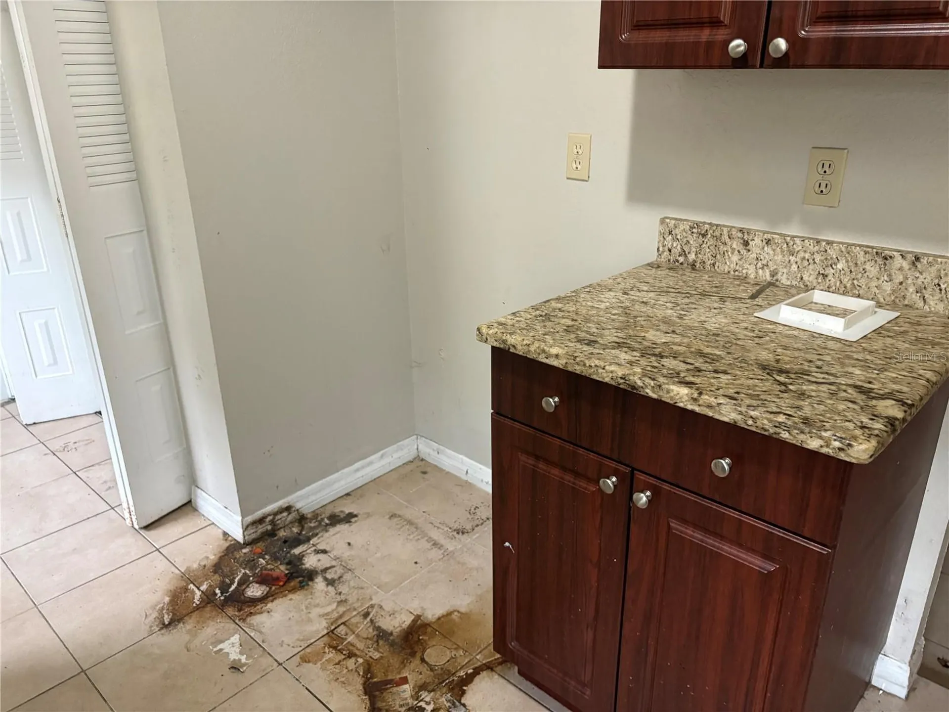 524 Wynnwood Drive Brandon FL 33511