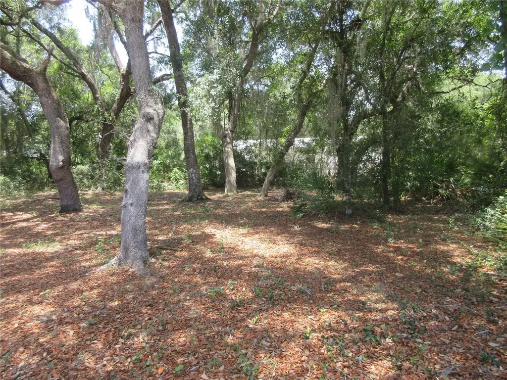 2562 SE 178th Avenue Silver Springs FL 34488