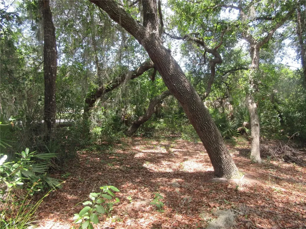2562 SE 178th Avenue Silver Springs FL 34488