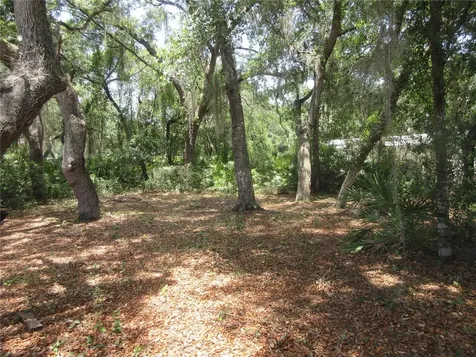 2562 SE 178th Avenue Silver Springs FL 34488