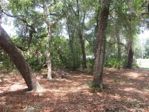2562 SE 178th Avenue Silver Springs FL 34488