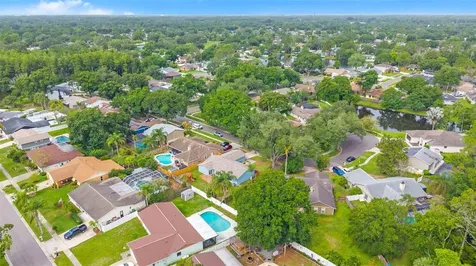 15917 Country Farm Place Tampa FL 33624