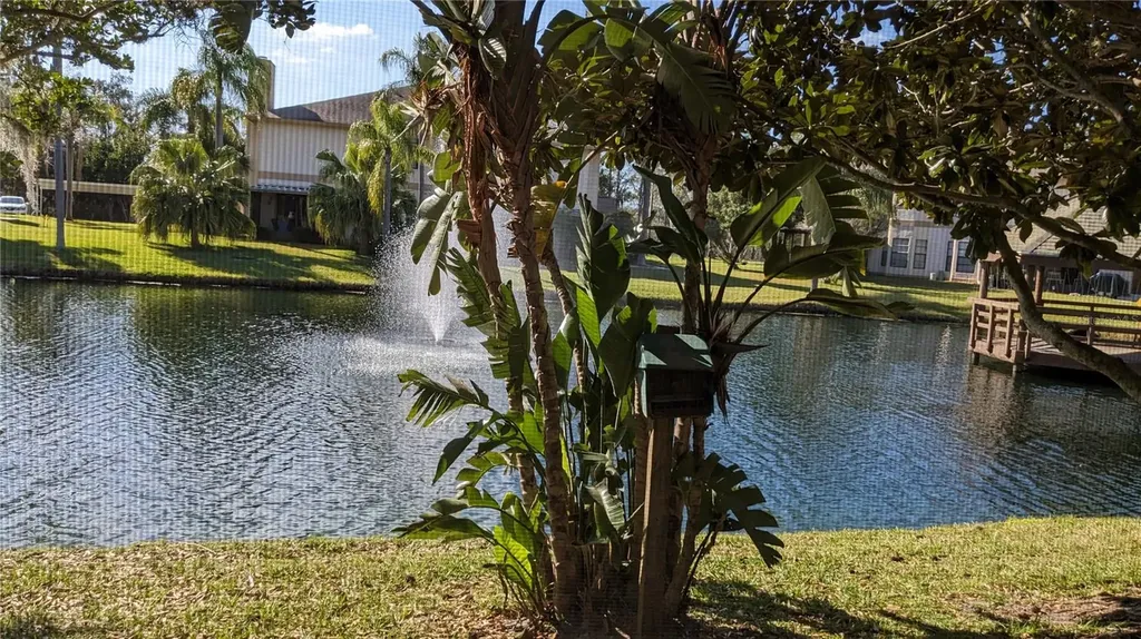 46 Emerald Bay Drive Oldsmar FL 34677