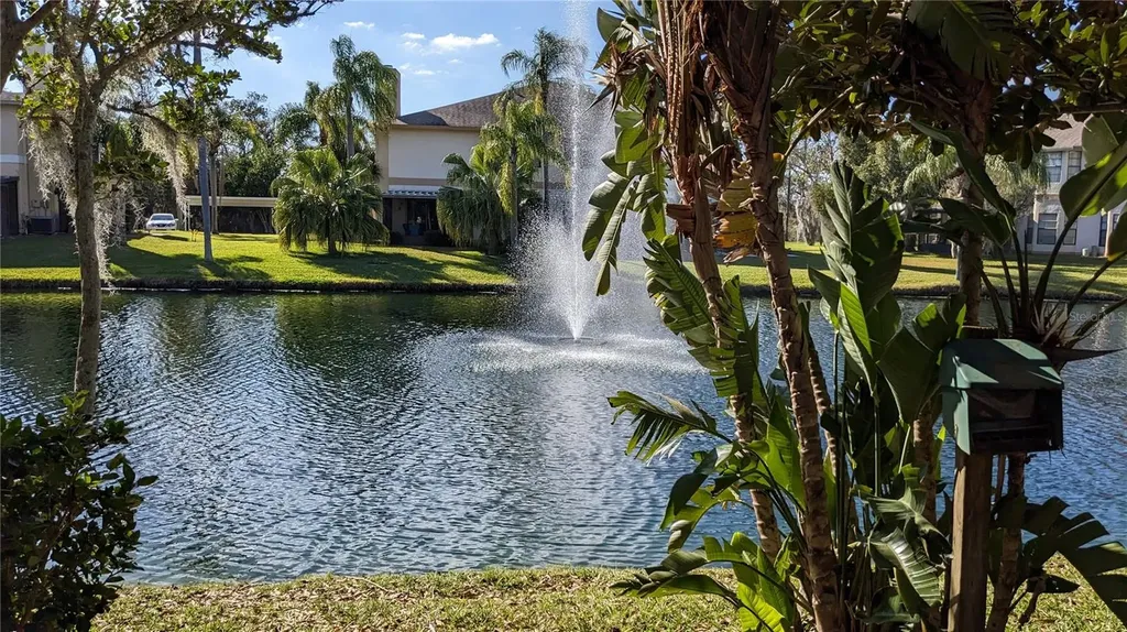 46 Emerald Bay Drive Oldsmar FL 34677