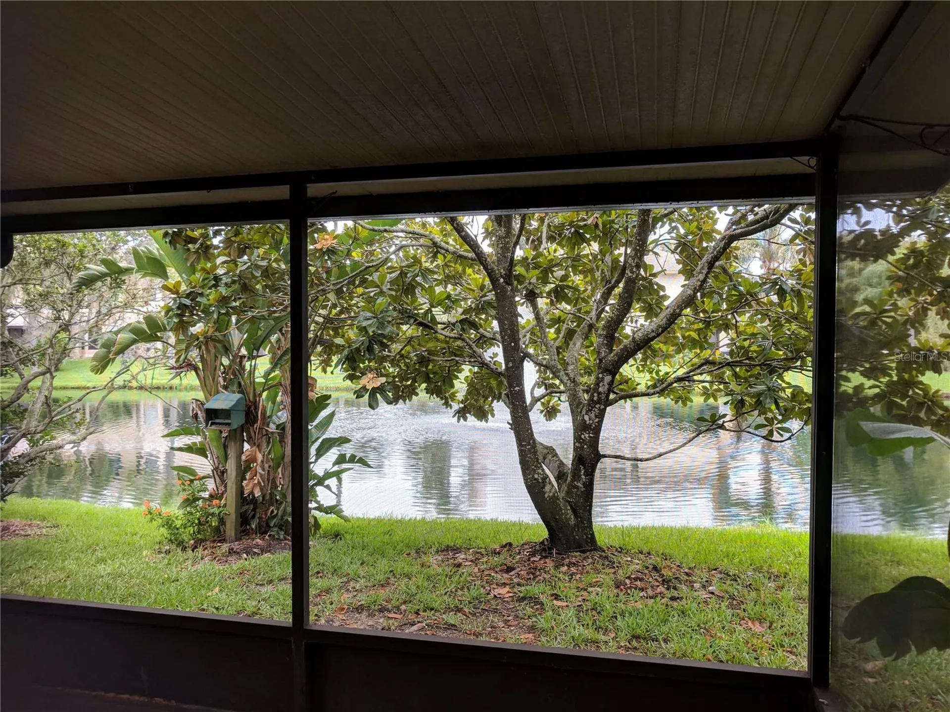46 Emerald Bay Drive Oldsmar FL 34677