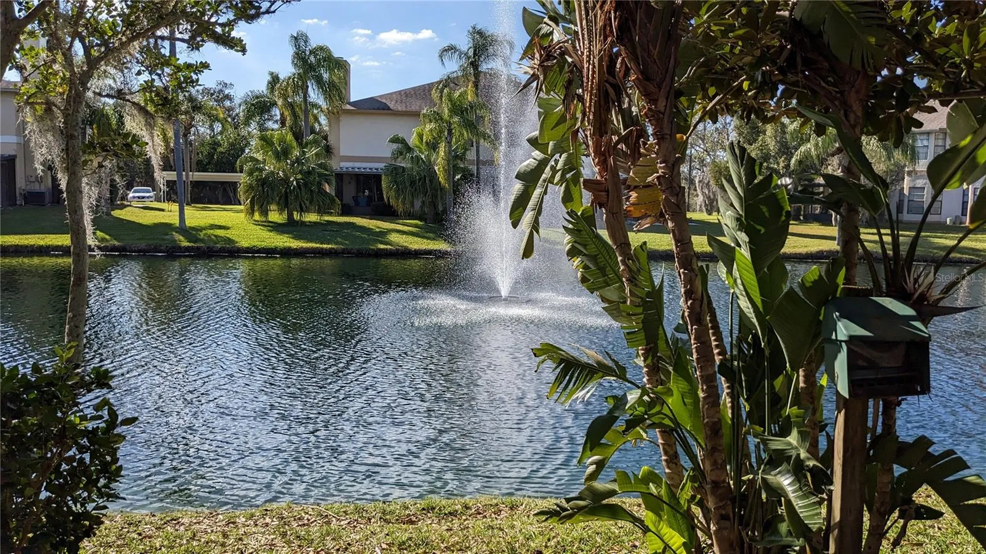 46 Emerald Bay Drive Oldsmar FL 34677