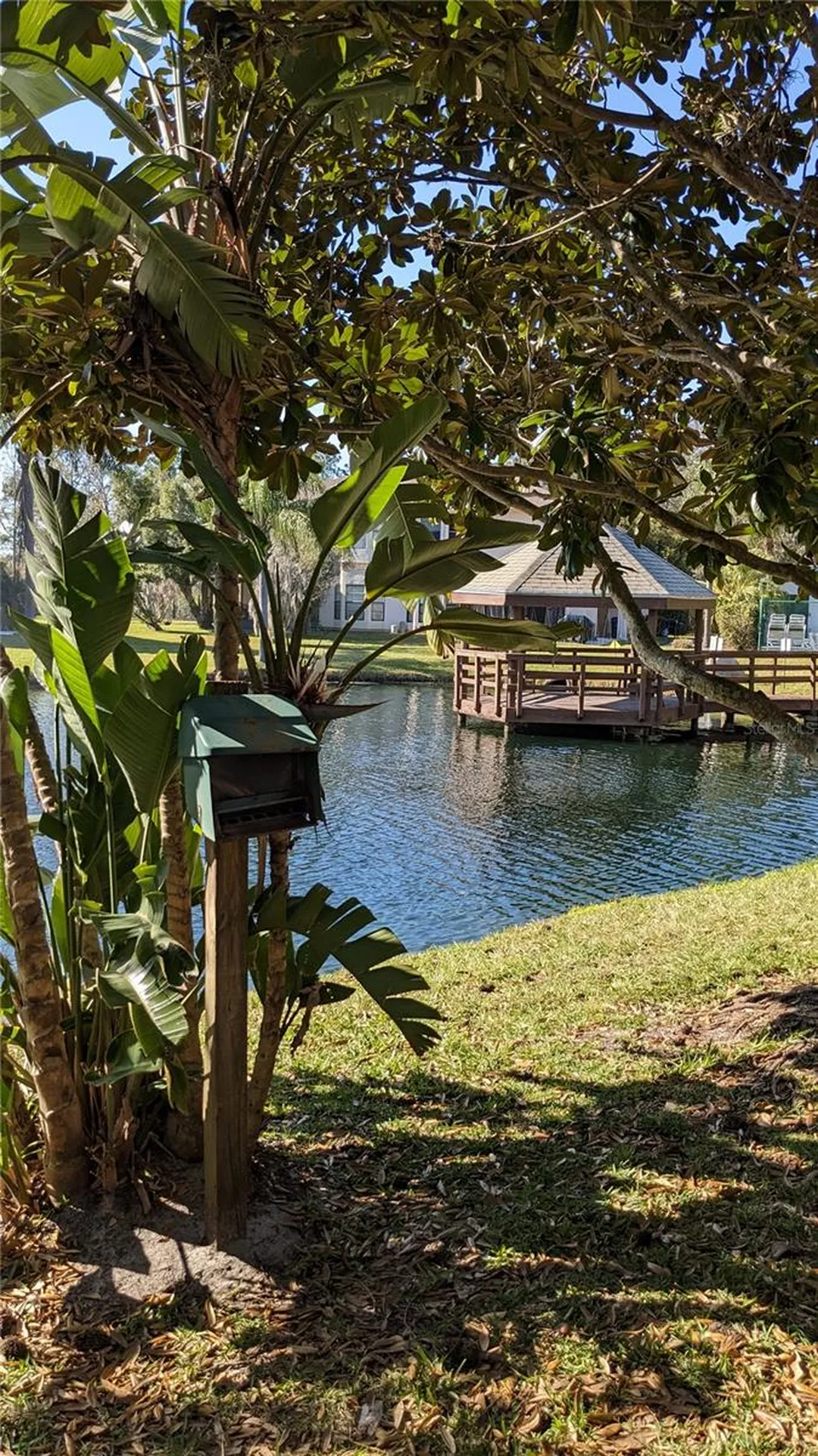 46 Emerald Bay Drive Oldsmar FL 34677