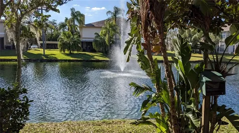 46 Emerald Bay Drive Oldsmar FL 34677