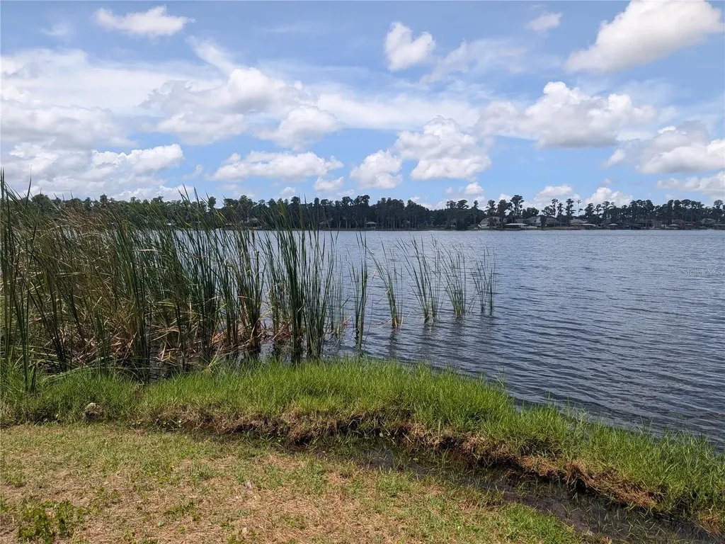 14232 Chisholm Lane Odessa FL 33556