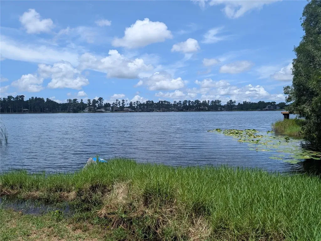 14232 Chisholm Lane Odessa FL 33556