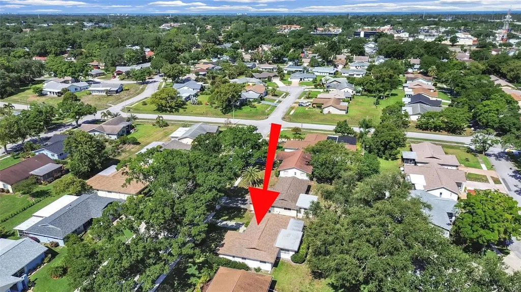2819 Thistle Court S Palm Harbor FL 34684