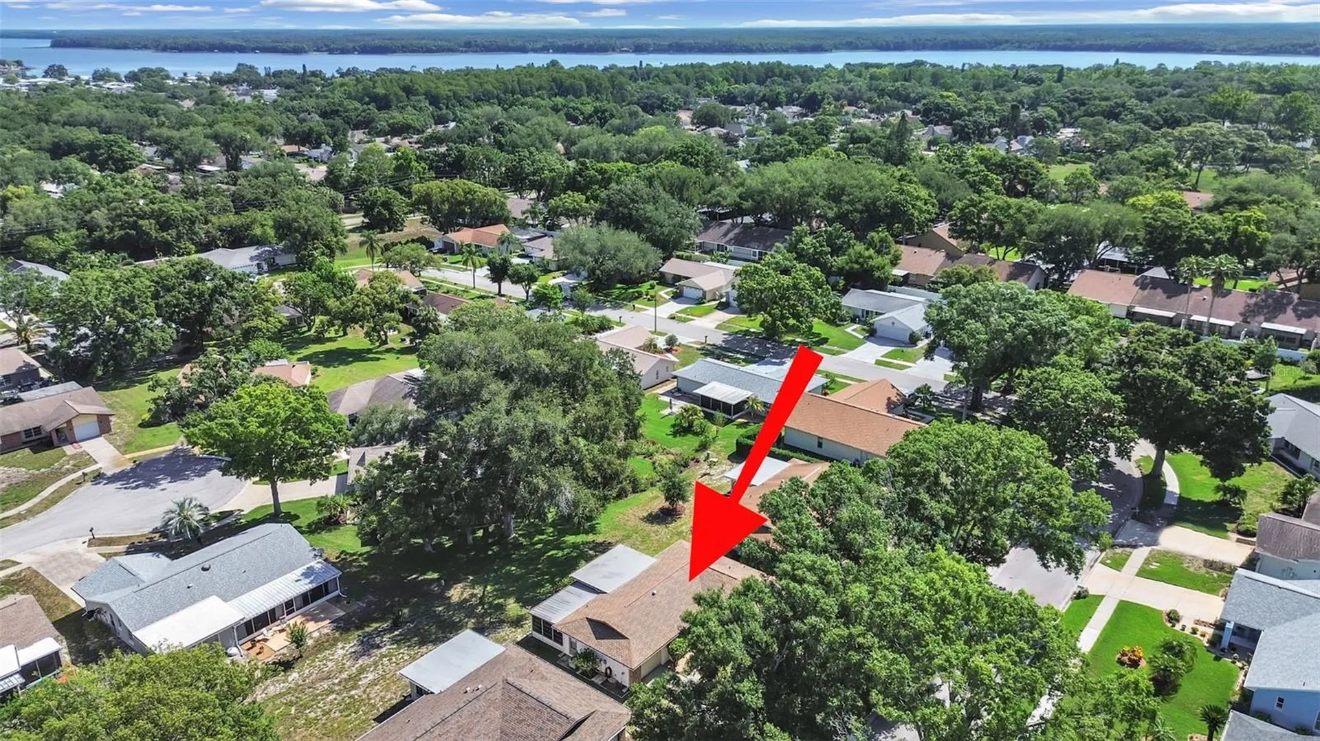 2819 Thistle Court S Palm Harbor FL 34684