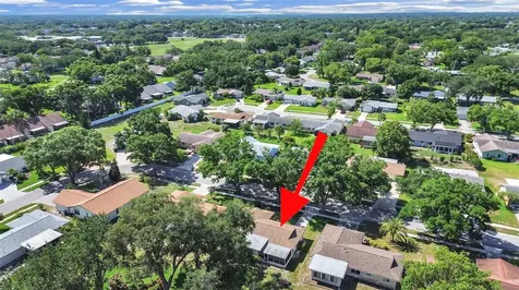 2819 Thistle Court S Palm Harbor FL 34684