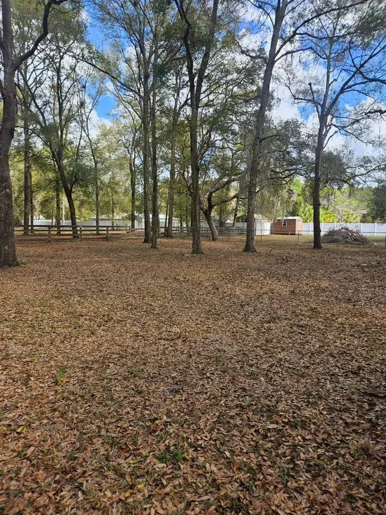 5463 E Tangelo Lane Inverness FL 34453