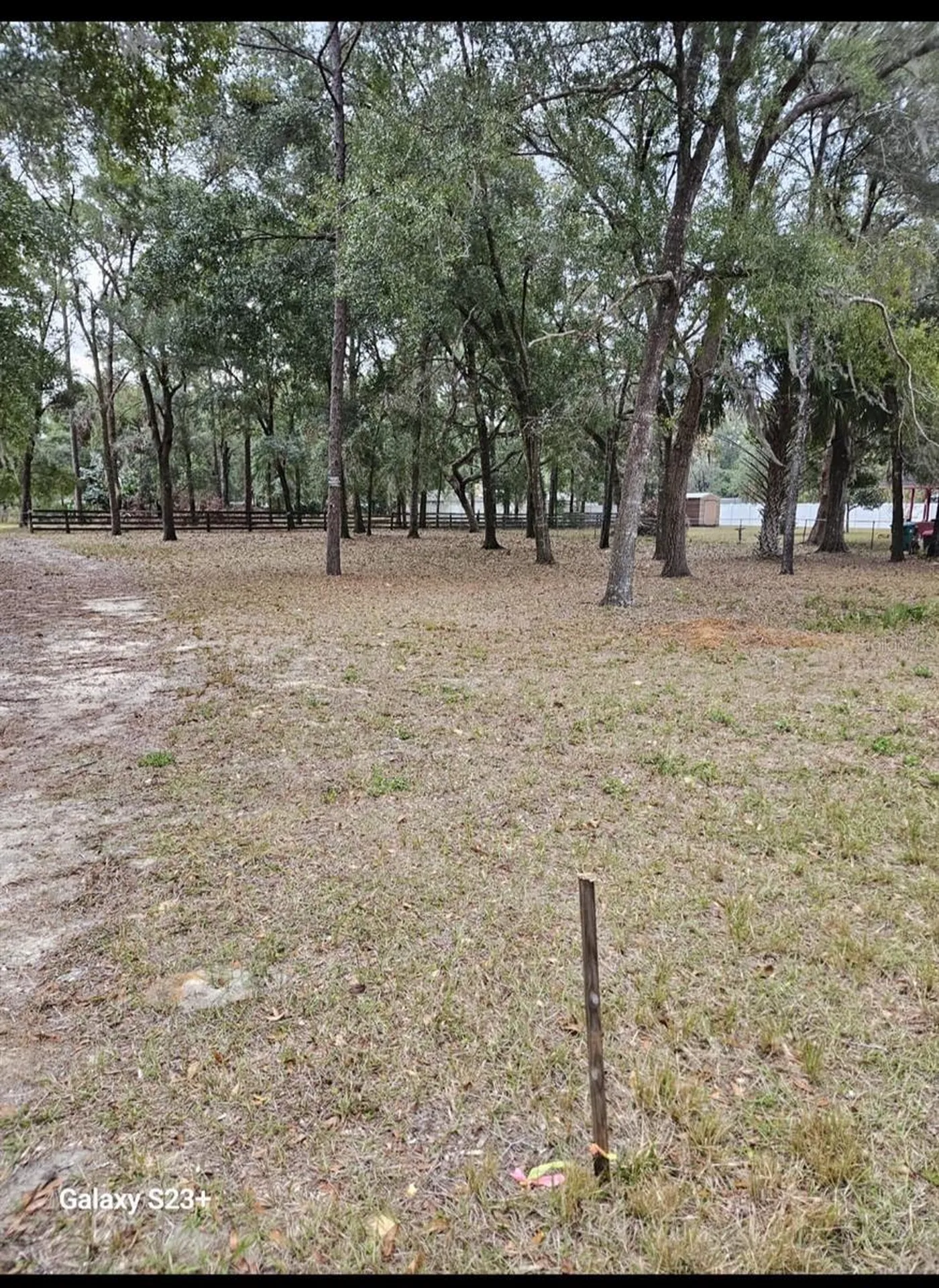 5463 E Tangelo Lane Inverness FL 34453