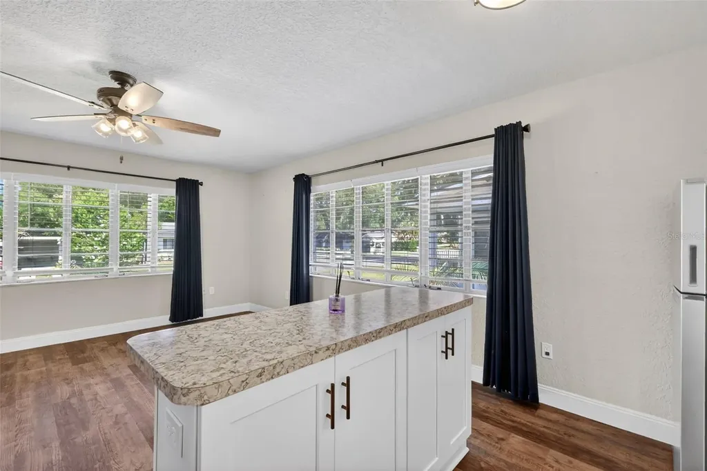 1012 S Baker Street Mount Dora FL 32757