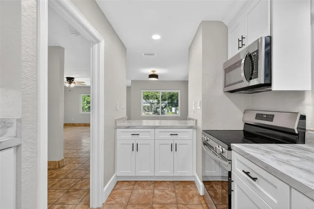 1012 S Baker Street Mount Dora FL 32757