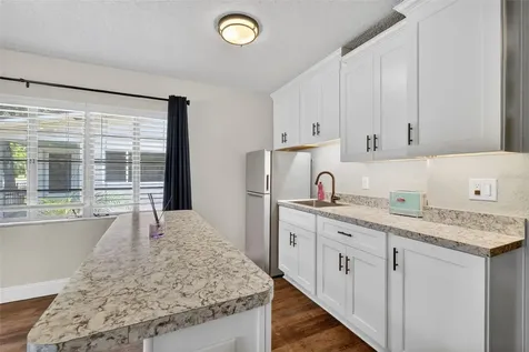 1012 S Baker Street Mount Dora FL 32757