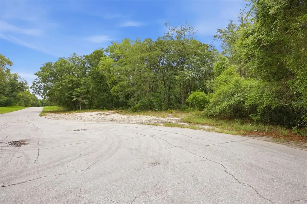 000 SW 172nd Loop Ocala FL 34473