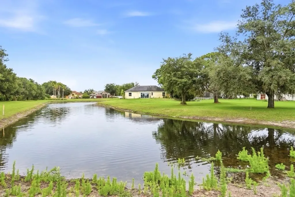 19930 Dolores Ann Court Lutz FL 33549