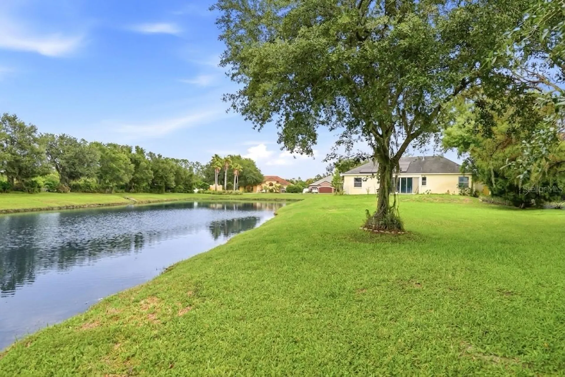 19930 Dolores Ann Court Lutz FL 33549