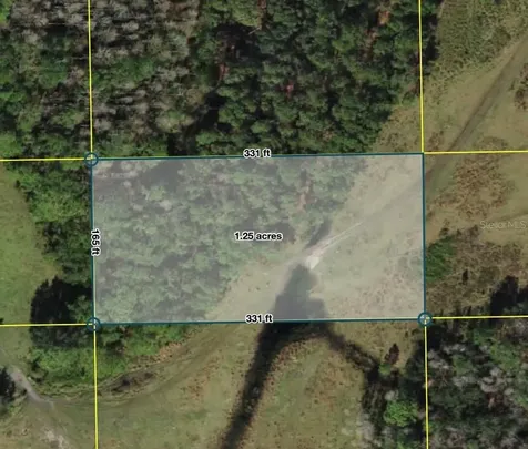 28.341015, -81.840448 Polk City, Fl 33868 Polk City FL 33868